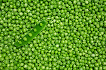 Pics Of Peas